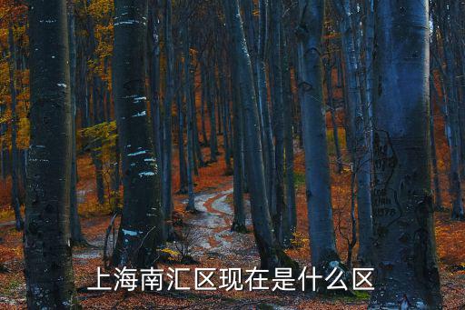 上海南匯區(qū)現(xiàn)在是什么區(qū)