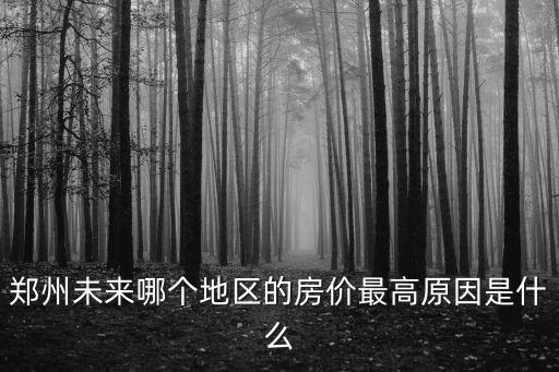 鄭州未來哪個地區(qū)的房價最高原因是什么