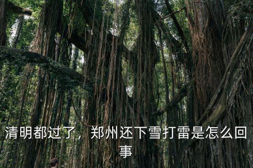 鄭州鳥群是怎么回事,鄭州還下雪打雷是怎么回事