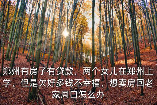 鄭州有房子有貸款，兩個女兒在鄭州上學(xué)，但是欠好多錢不幸福，想賣房回老家周口怎么辦