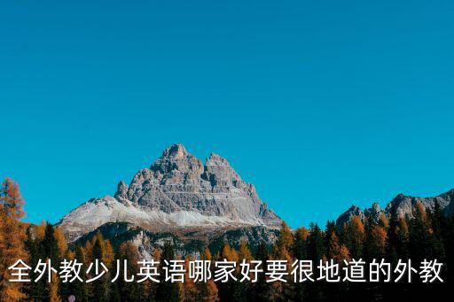開封英語外教哪里好,全外教少兒英語哪家好