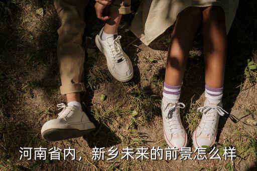 新鄉(xiāng)怎么來(lái)的名稱,新鄉(xiāng)未來(lái)的前景怎么樣
