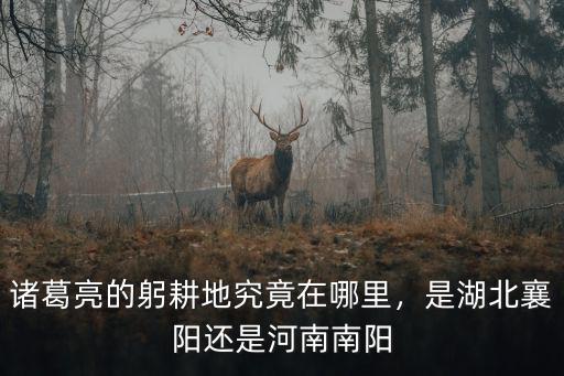 諸葛亮的躬耕地究竟在哪里，是湖北襄陽還是河南南陽