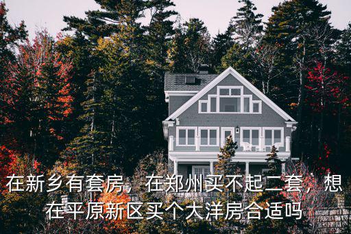 鄭州平原新區樓盤在哪里,在鄭州買不起二套