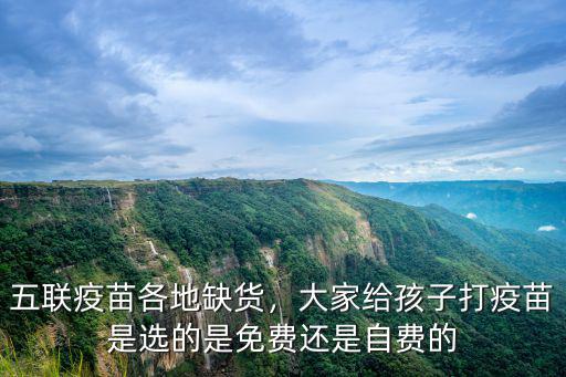 五聯疫苗各地缺貨，大家給孩子打疫苗是選的是免費還是自費的