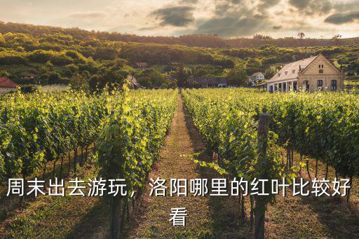 周末出去游玩，洛陽哪里的紅葉比較好看