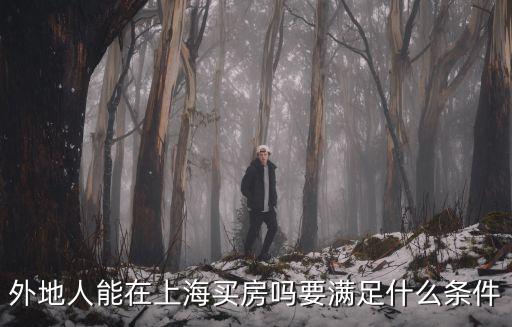 外地人能在上海買房嗎要滿足什么條件