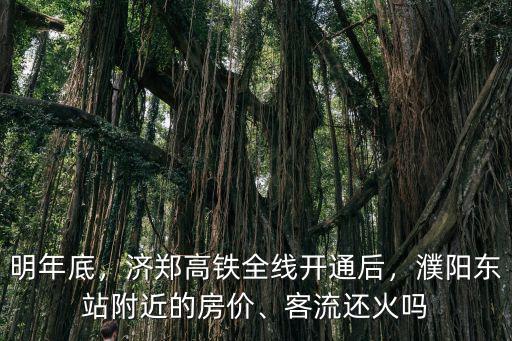 明年底，濟(jì)鄭高鐵全線開通后，濮陽東站附近的房價、客流還火嗎