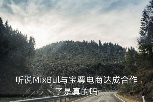 聽說MixBul與寶尊電商達成合作了是真的嗎