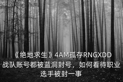 《絕地求生》4AM孤存RNGXDD戰隊賬號都被藍洞封號，如何看待職業選手被封一事