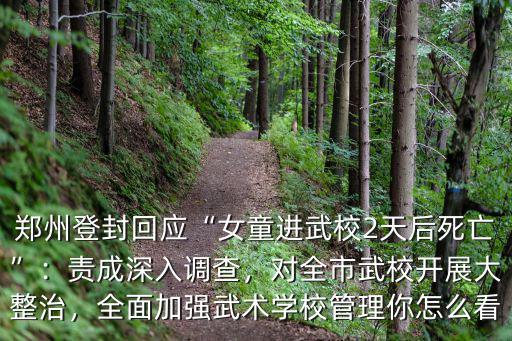 鄭州釋小龍武校怎么樣,少林寺釋小龍武院怎么樣