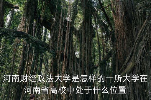 河南財(cái)經(jīng)政法大學(xué)是怎樣的一所大學(xué)在河南省高校中處于什么位置