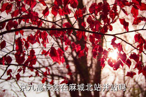 河南新縣的高鐵站在哪里,京九高鐵會(huì)在麻城北站并站嗎