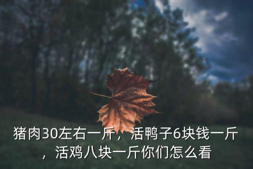 信陽活鴨多少錢一斤,豬肉30左右一斤