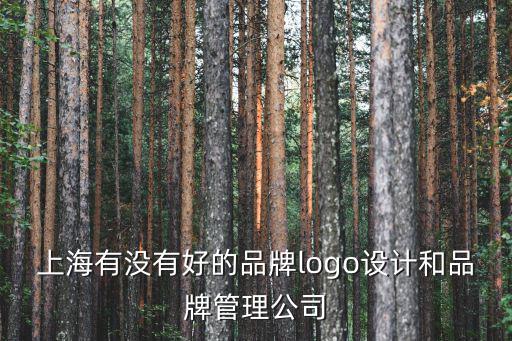 上海有沒有好的品牌logo設計和品牌管理公司