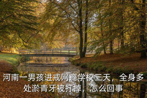 河南一男孩進戒網癮學校三天，全身多處淤青牙被打掉，怎么回事