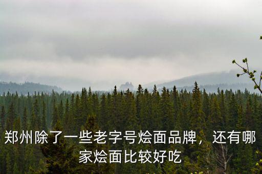 鄭州除了一些老字號燴面品牌，還有哪家燴面比較好吃