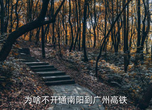 南陽高鐵能到哪里,為啥不開通南陽到廣州高鐵