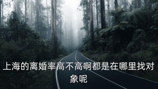 上海離婚率，上海的離婚率高不高啊都是在哪里找對象呢