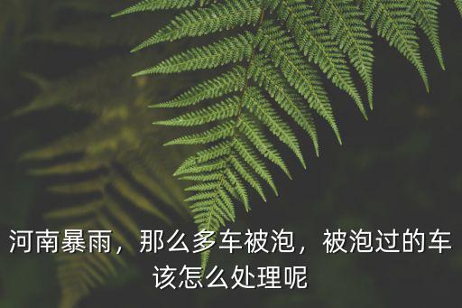 河南暴雨，那么多車被泡，被泡過的車該怎么處理呢