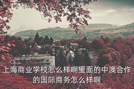 上海商業學校，上海商業學校怎么樣啊里面的中澳合作的國際商務怎么樣啊