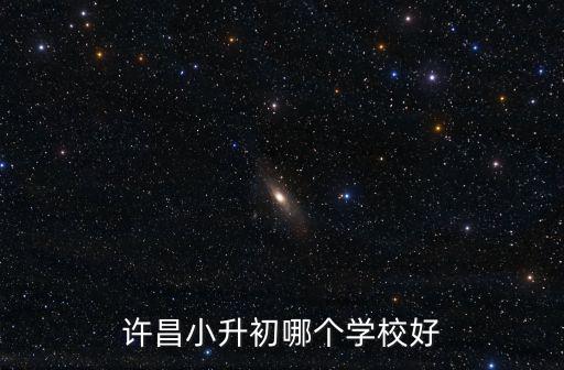 許昌小升初哪個學校好