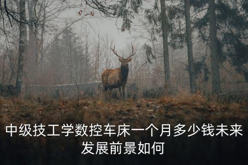 鄭州市車床工多少錢一個(gè)月,打工者一個(gè)月賺多少錢