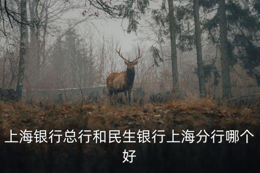上海銀行總行和民生銀行上海分行哪個好