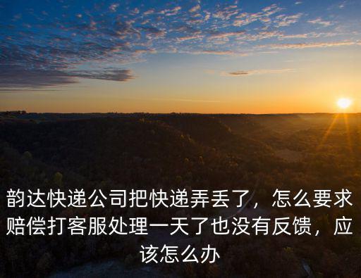韻達快遞公司把快遞弄丟了，怎么要求賠償打客服處理一天了也沒有反饋，應該怎么辦