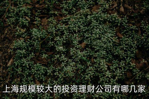 上海規模較大的投資理財公司有哪幾家