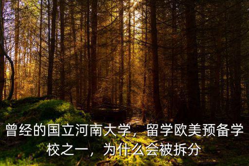 曾經的國立河南大學，留學歐美預備學校之一，為什么會被拆分