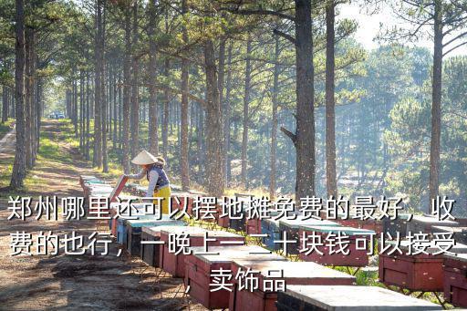 鄭州哪里有賣夜攤的,哪里有正規的解讀