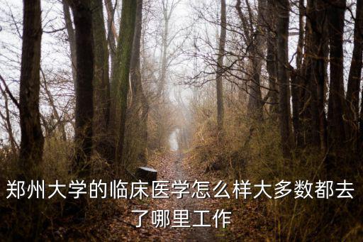 鄭州中心醫院現在怎么樣了,鄭州大學的臨床醫學怎么樣