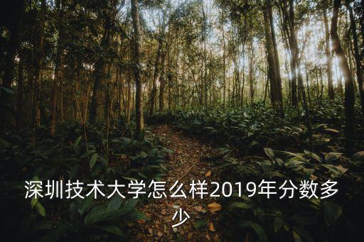 深圳技術大學在河南有多少人報,深圳技術大學怎么樣