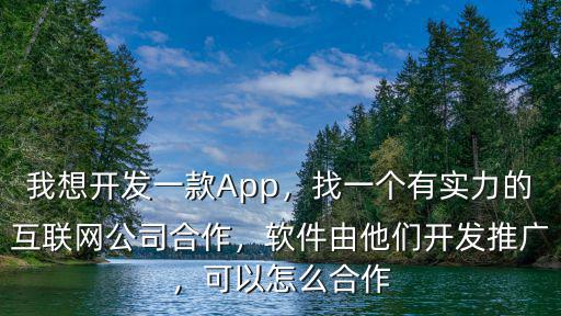 我想開發一款App，找一個有實力的互聯網公司合作，軟件由他們開發推廣，可以怎么合作