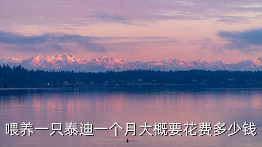 喂養一只泰迪一個月大概要花費多少錢