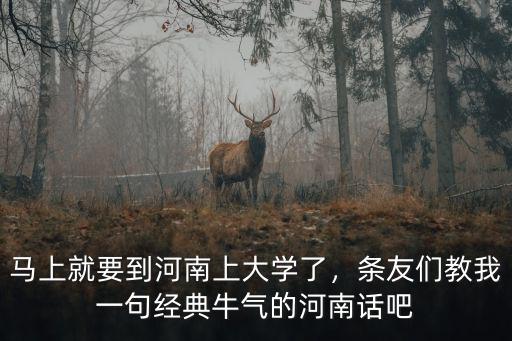馬上就要到河南上大學了，條友們教我一句經典牛氣的河南話吧