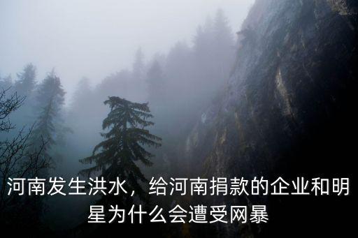 河南發生洪水，給河南捐款的企業和明星為什么會遭受網暴