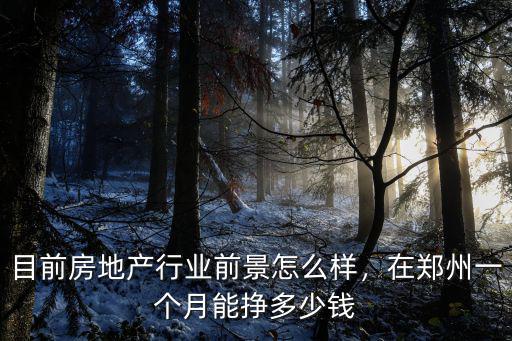 目前房地產(chǎn)行業(yè)前景怎么樣，在鄭州一個(gè)月能掙多少錢