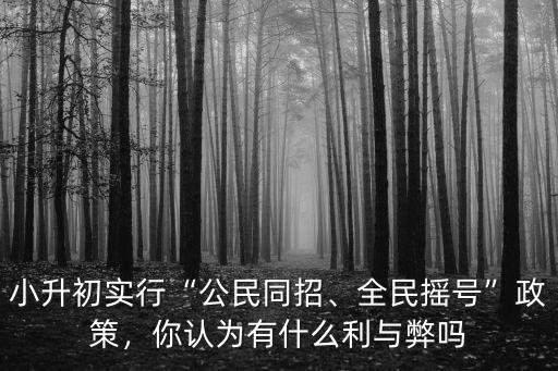 小升初實(shí)行“公民同招、全民搖號(hào)”政策，你認(rèn)為有什么利與弊嗎