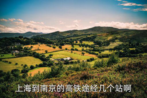 上海到南京的高鐵途經幾個站啊