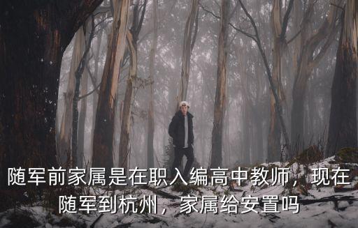 洛陽家屬隨軍安置怎么樣,家屬給安置嗎