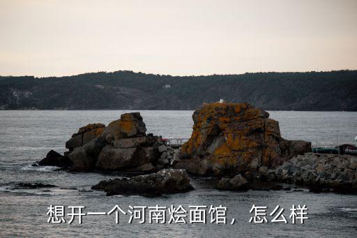 想在洛陽(yáng)開(kāi)個(gè)燴面館怎么樣,想開(kāi)一個(gè)河南燴面館
