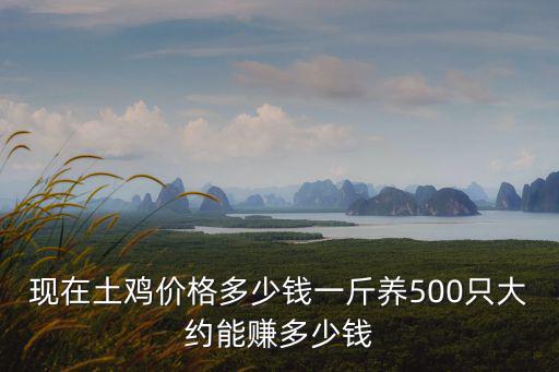 現在土雞價格多少錢一斤養500只大約能賺多少錢