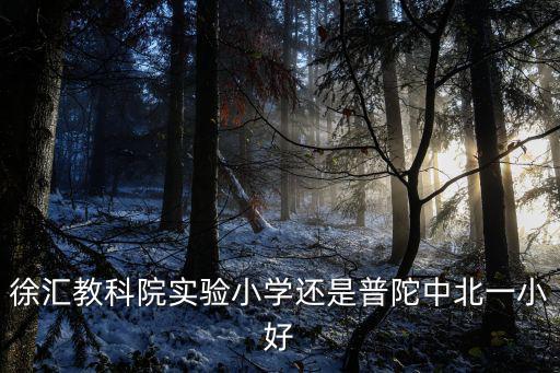 徐匯教科院實驗小學還是普陀中北一小好