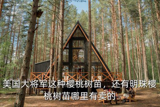 美國大將軍這種櫻桃樹苗，還有明珠櫻桃樹苗哪里有賣的