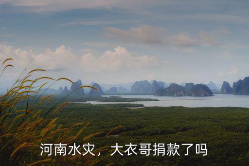 河南愛心捐款怎么捐,司馬南給河南捐款了么