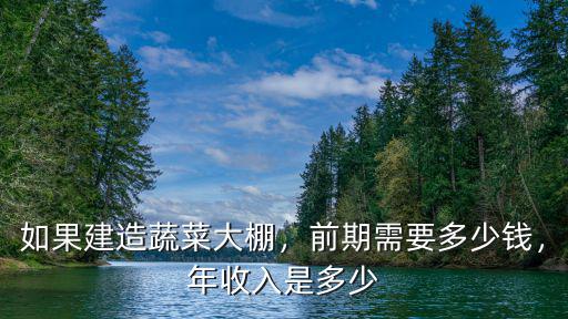 如果建造蔬菜大棚，前期需要多少錢，年收入是多少