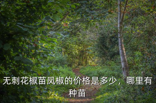 信陽哪里能買到花椒樹苗,在哪里可以買到花椒樹苗