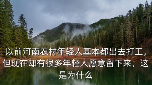 以前河南農村年輕人基本都出去打工，但現在卻有很多年輕人愿意留下來，這是為什么